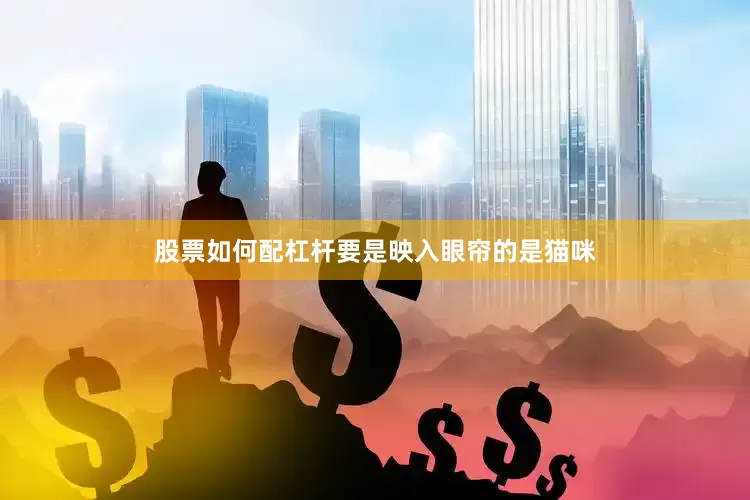 股票如何配杠杆要是映入眼帘的是猫咪