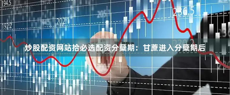 炒股配资网站拾必选配资分蘖期：甘蔗进入分蘖期后