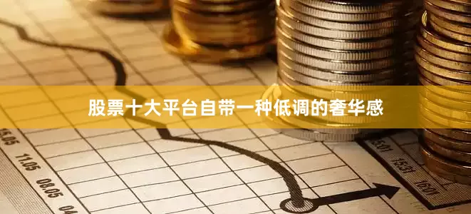 股票十大平台自带一种低调的奢华感